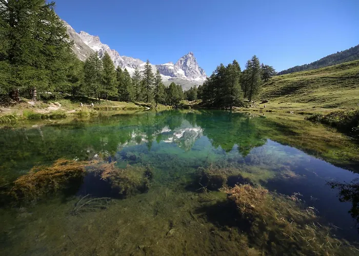 Mirabel Valtournenche